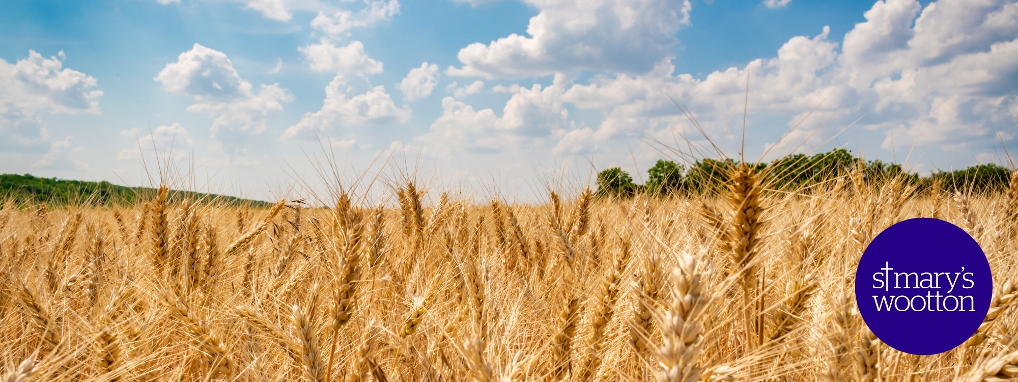 Harvest celebration*Sunday 27 September 2026*Join us