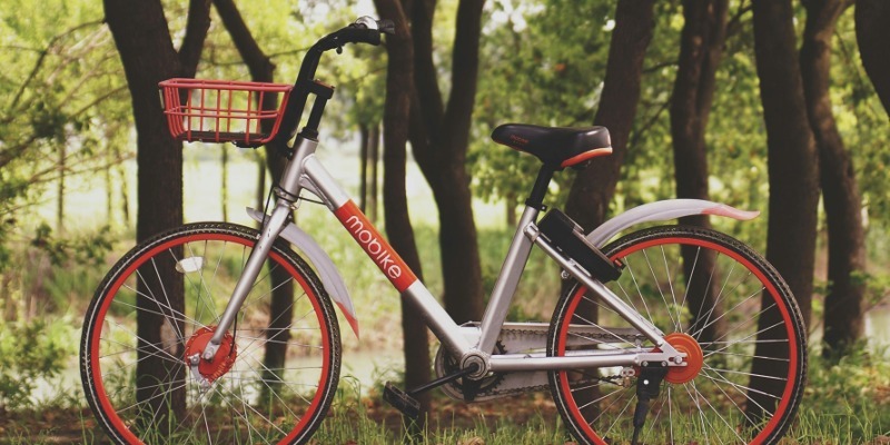 Bike 'n Hike: Beds & Herts Historic Churches